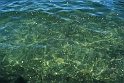 Lago di Como_166